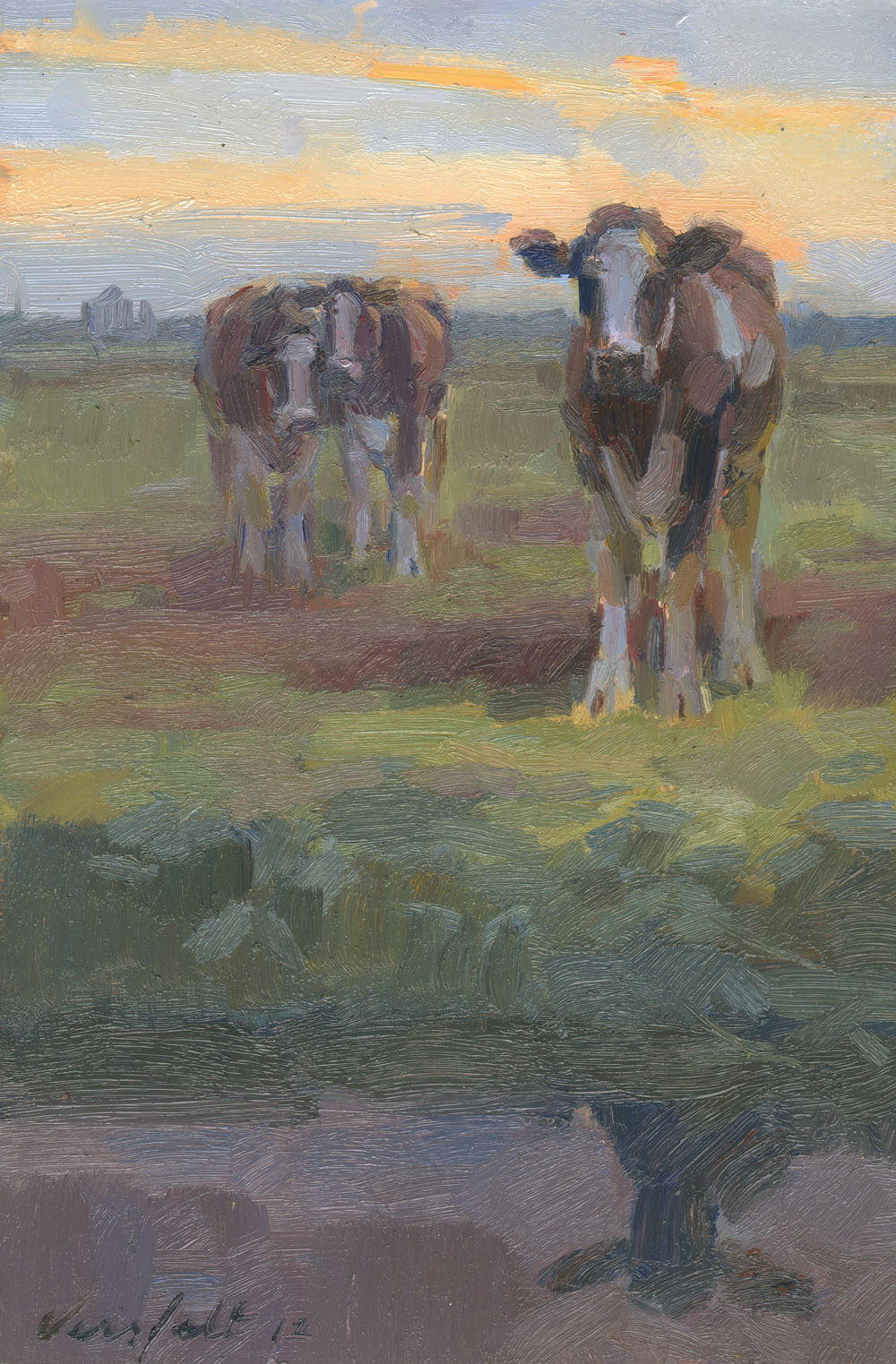 Drie koeien aan de waterkant